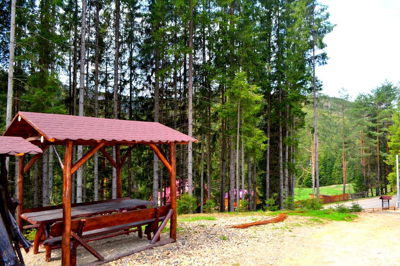 Pensiunea Vatra Bucovinei Vatra Moldoviţei Esterno foto