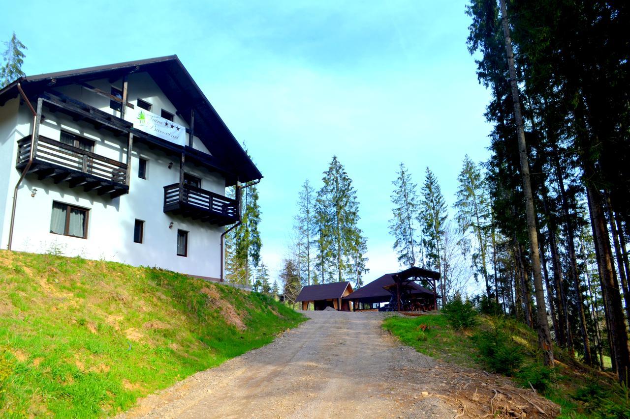 Pensiunea Vatra Bucovinei Vatra Moldoviţei Esterno foto