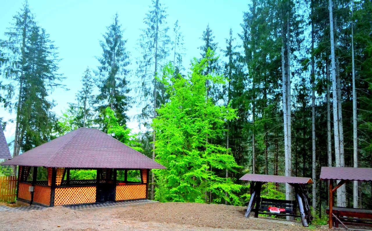 Pensiunea Vatra Bucovinei Vatra Moldoviţei Esterno foto
