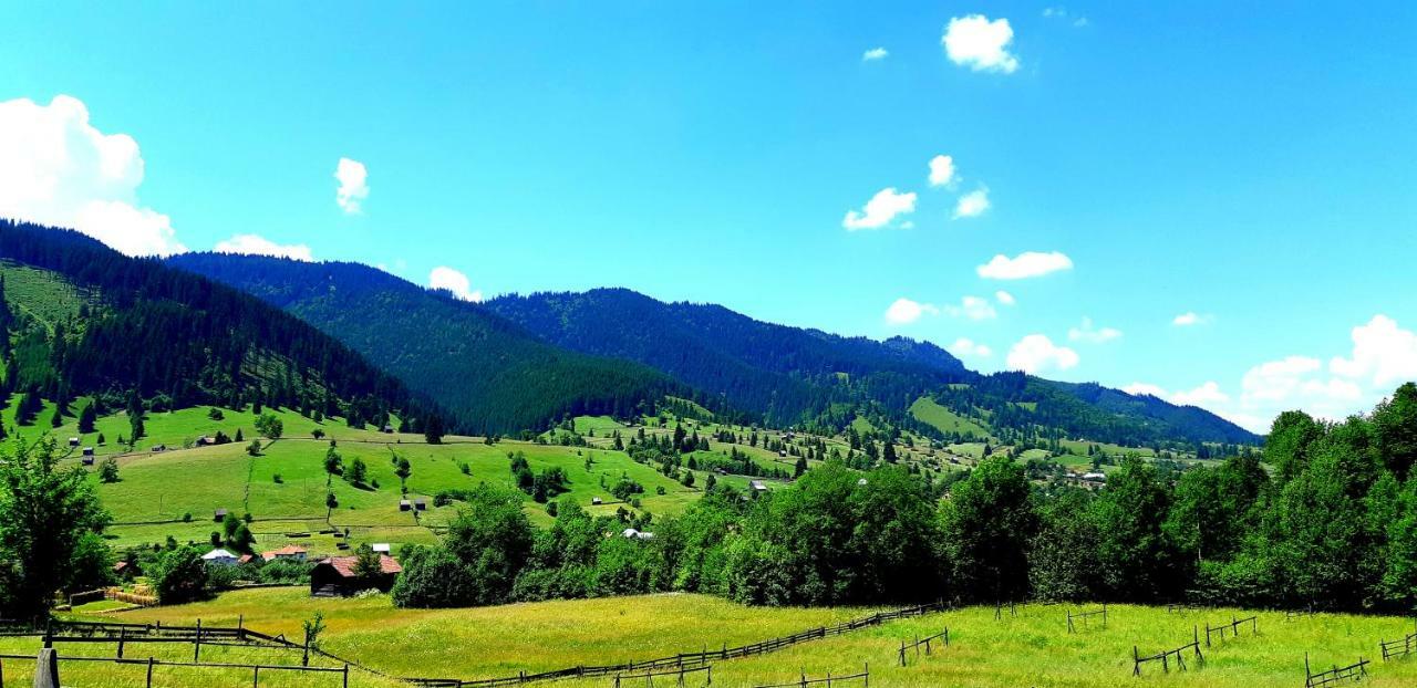Pensiunea Vatra Bucovinei Vatra Moldoviţei Esterno foto
